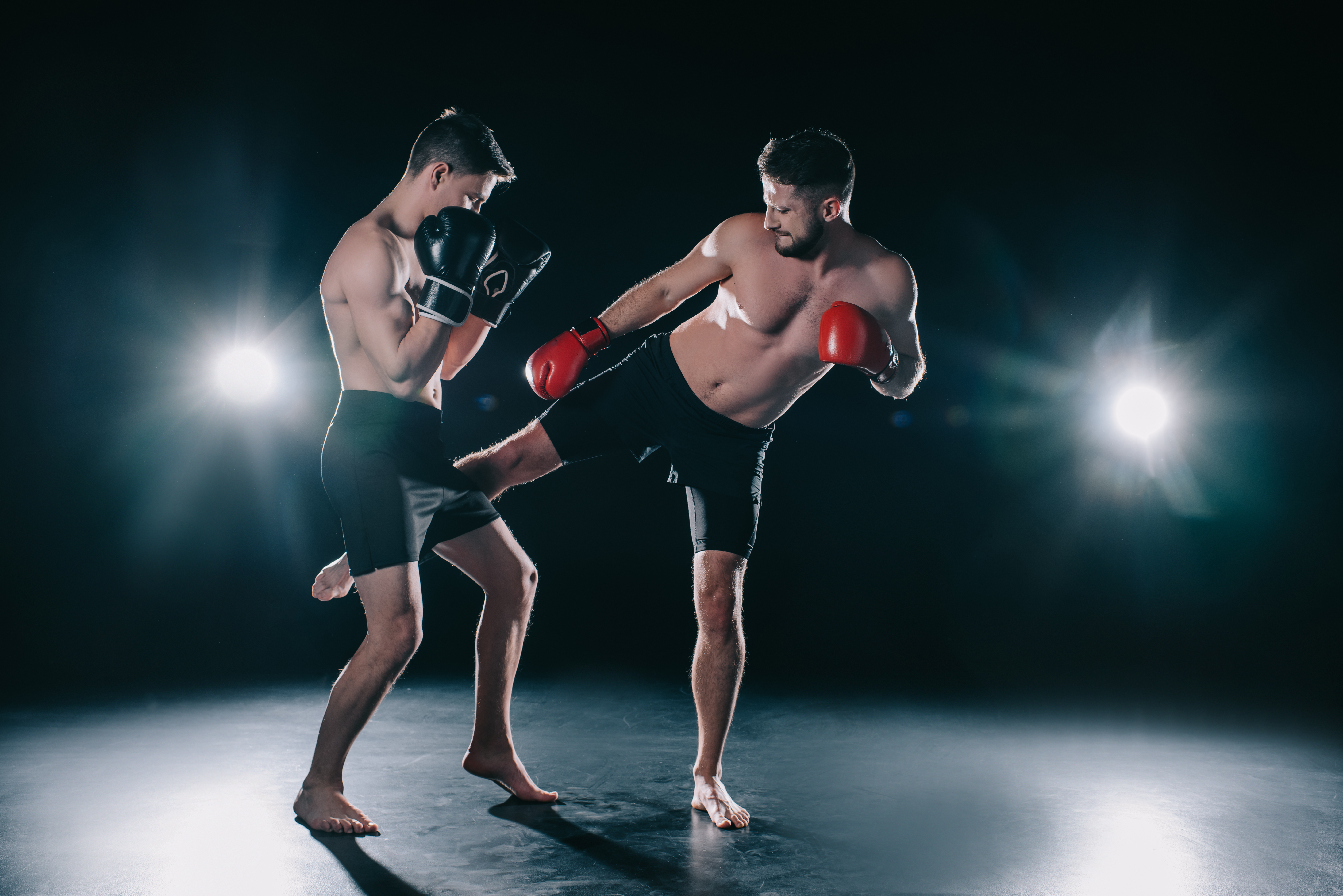 K1 75 x 35 x 18cm MMA. Phönix- Schlagpolster Low Kicks pro tech Muay Thai 