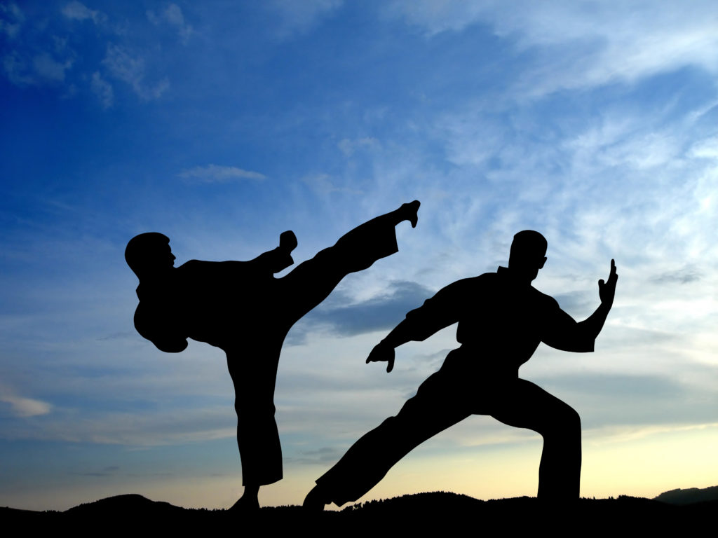 martial arts vs self defense
