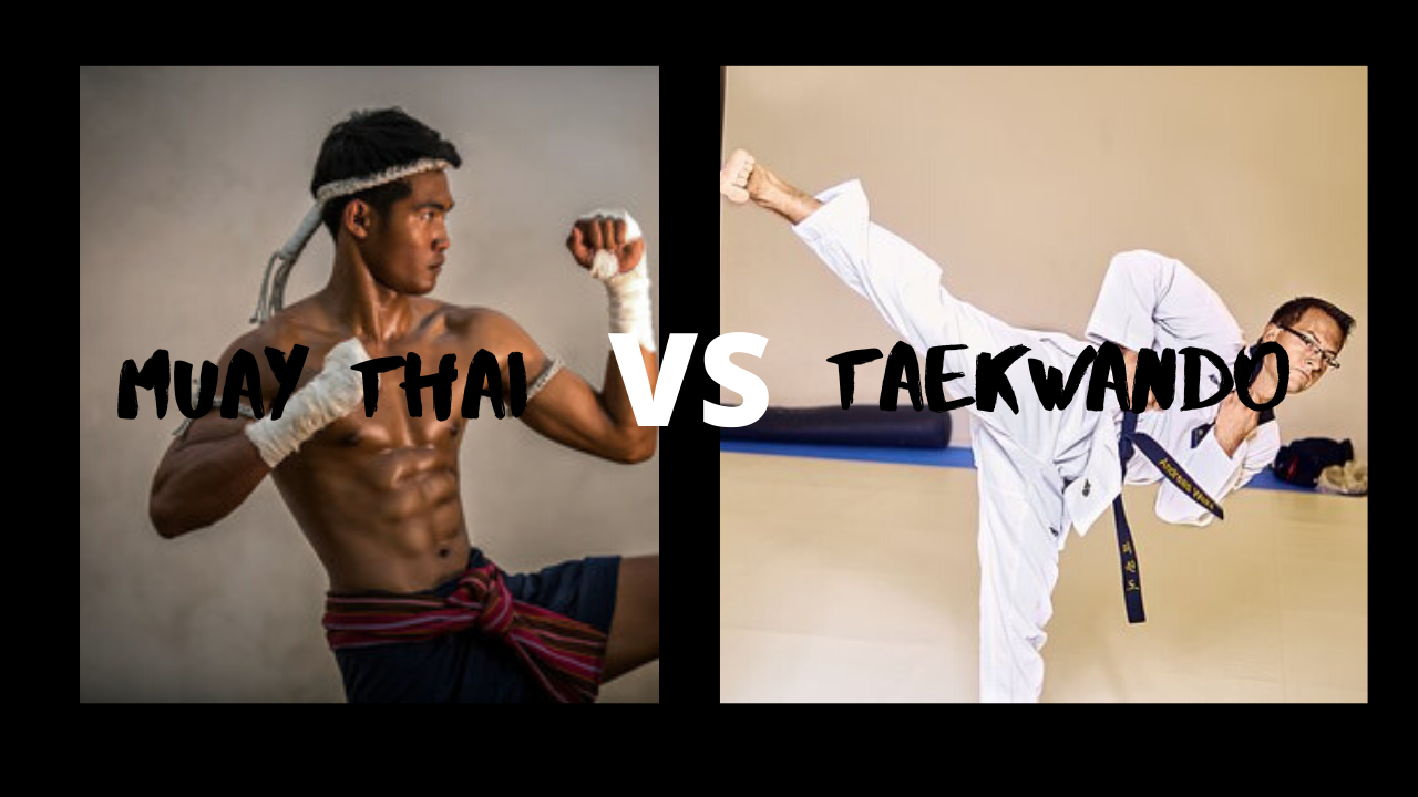 muay thai vs taekwando