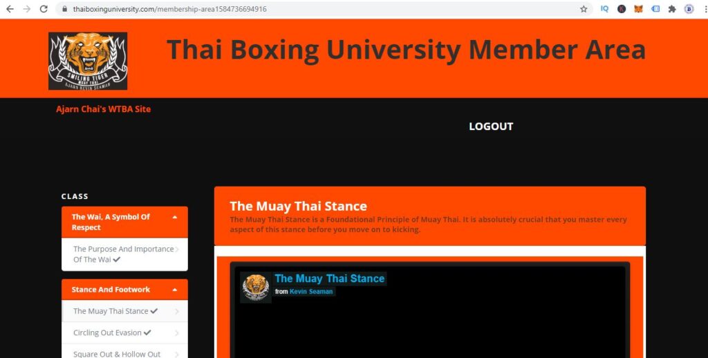 thai boxing university review