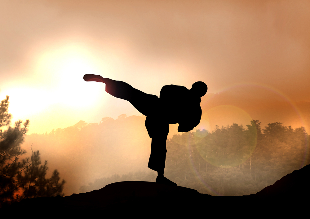 3 of the Best Beginner Martial Arts
