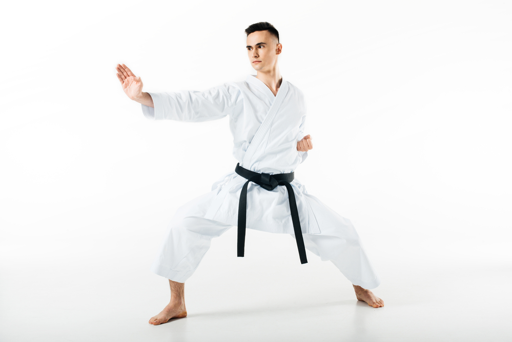 best martial arts to learn at home