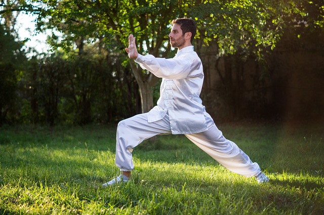 Learn Martial Arts Online Free at Home – 7 Step Guide