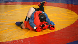 combat sambo is one of the best martial arts for street fighting