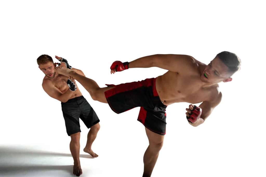 types of mixed martial arts styles