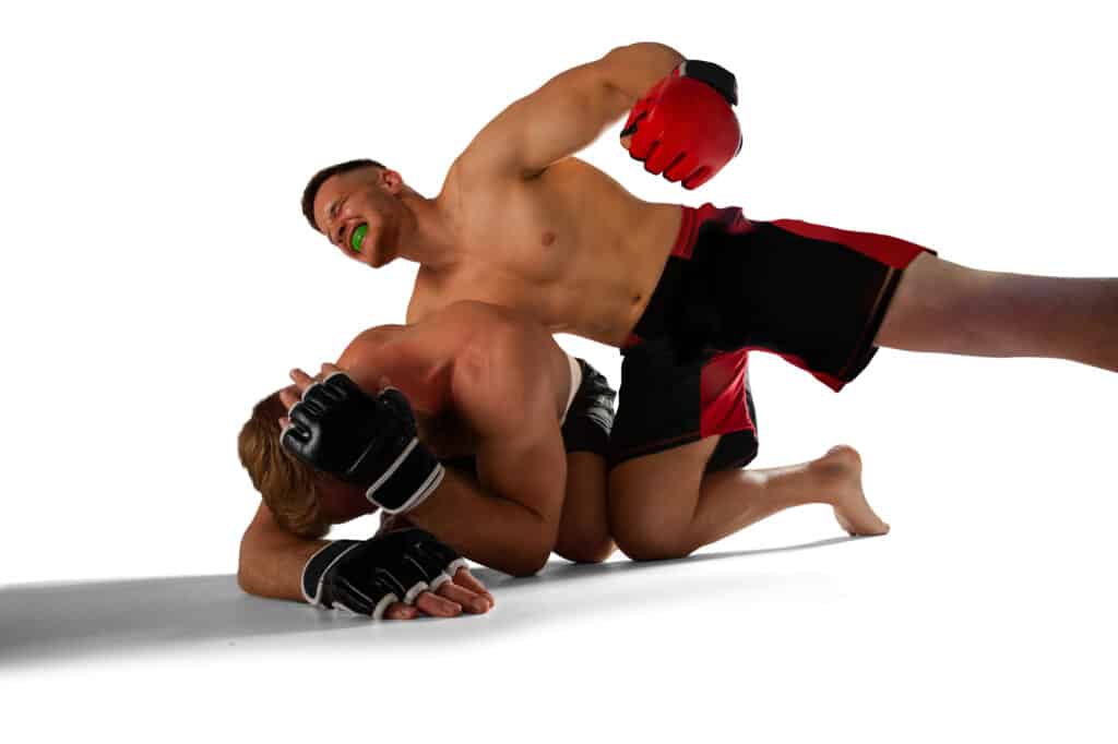different types of mixed martial arts styles