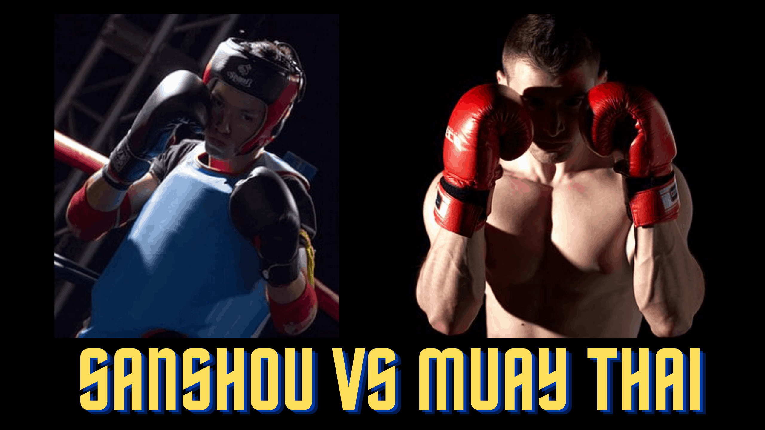Sanshou vs Muay Thai -What Are the Main Differences?