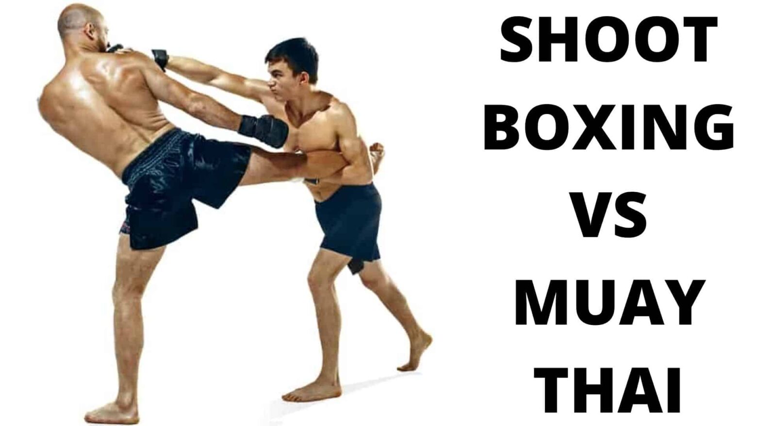 Shoot Boxing vs Muay Thai