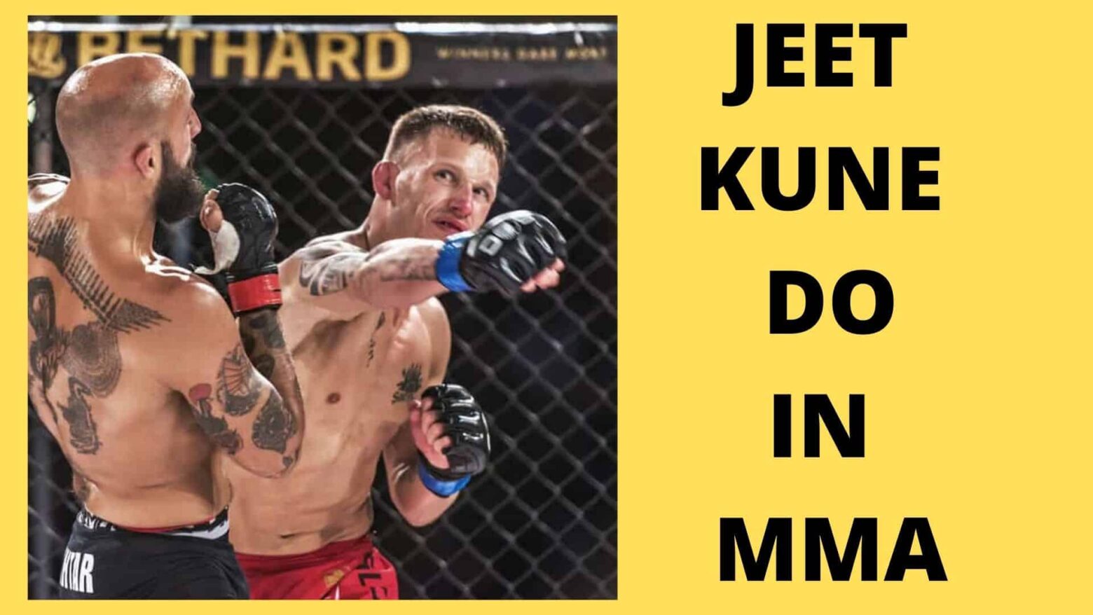 Jeet Kune do in MMA