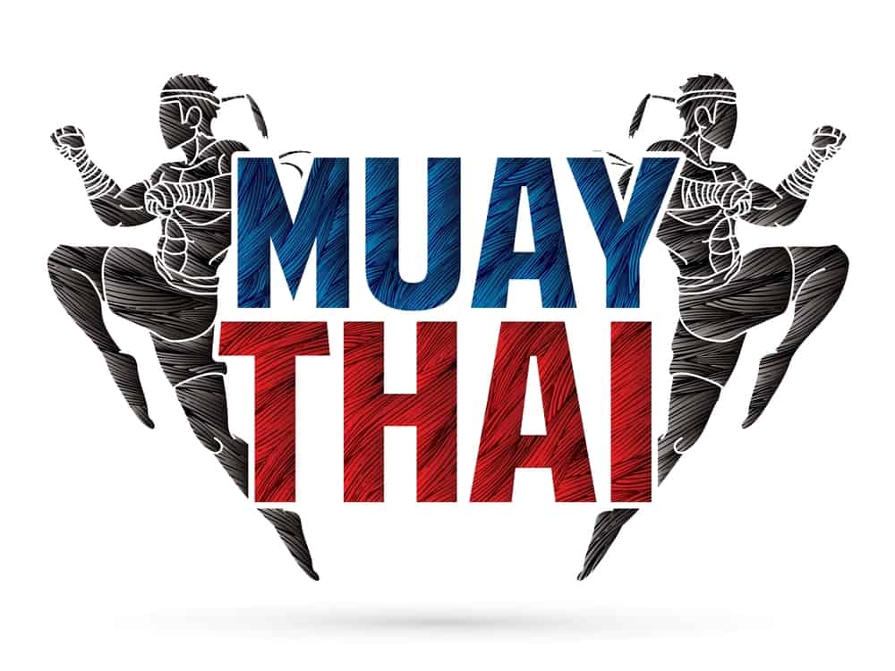 Which Muay Thai Online Course to Follow?