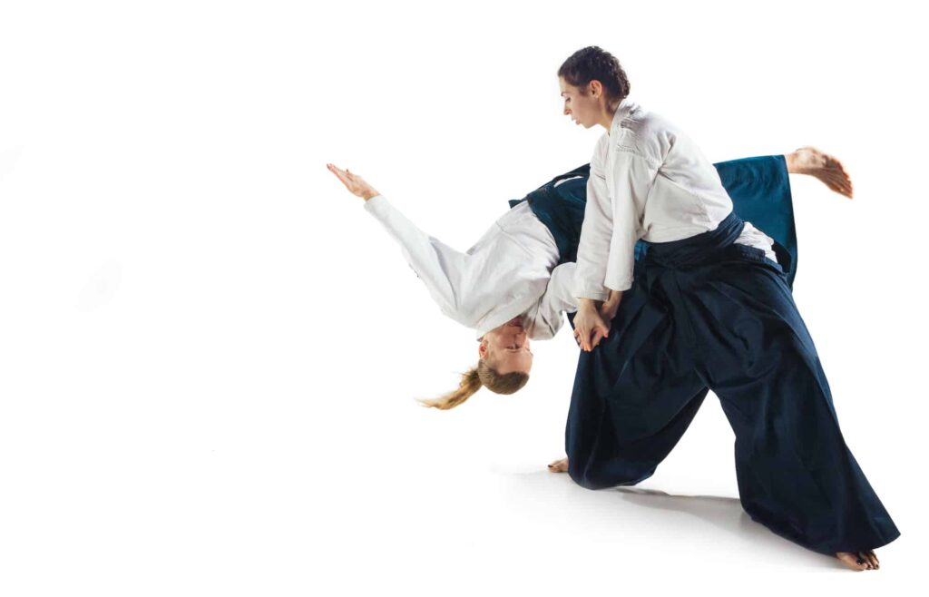 aikido vs muay thai