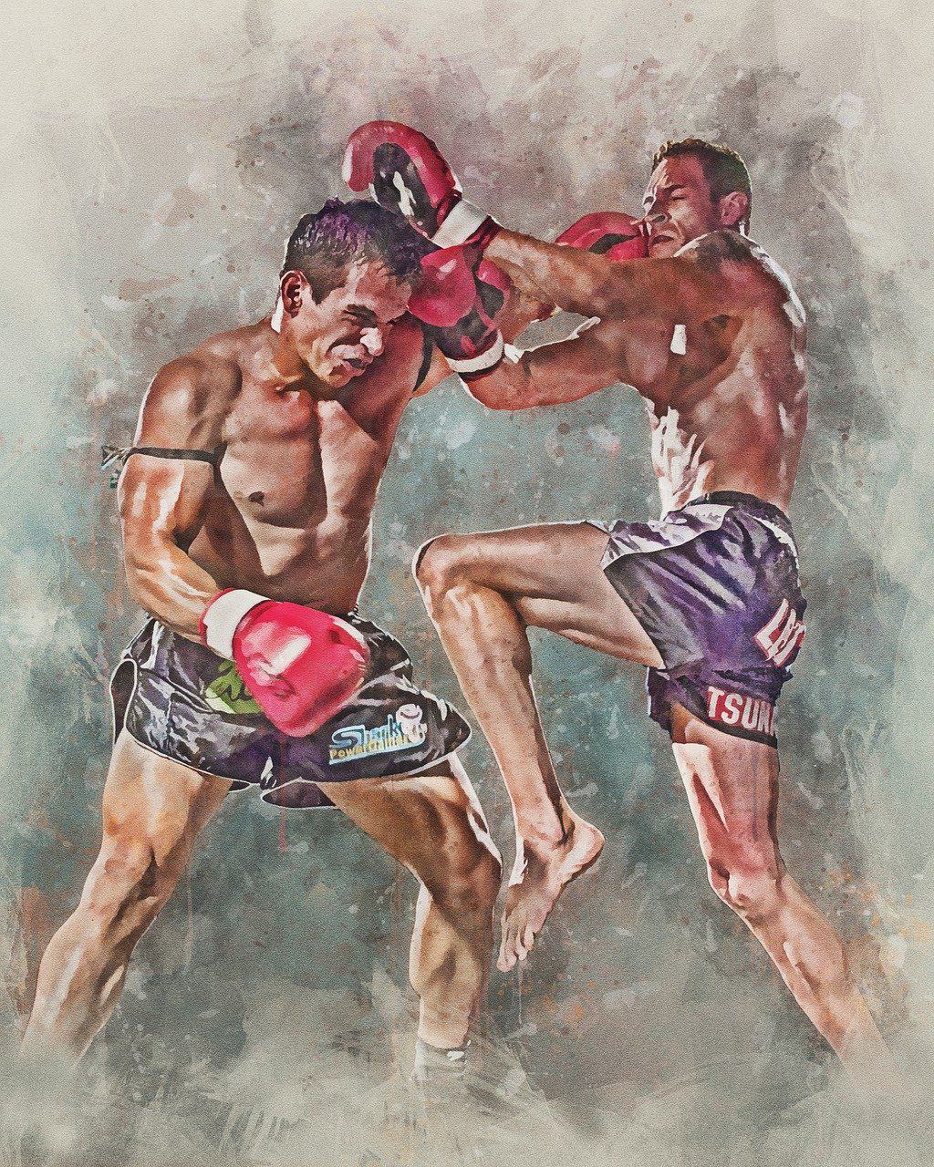 Goju Ryu vs Muay Thai