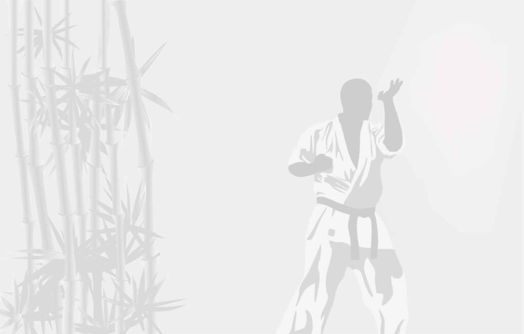 kyokushin vs muay thai